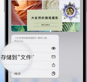 淇滨apple维修中心分享iPhone文件应用中存储和找到下载文件