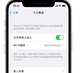 淇滨apple服务站点分享iPhone上个人热点丢失了怎么办