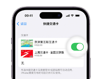 淇滨apple维修点分享iPhone上更换Apple Pay快捷交通卡手绘卡面 