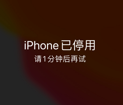 淇滨苹果手机维修分享:iPhone 显示“不可用”或“已停用”怎么办？还能保留数据吗？ 