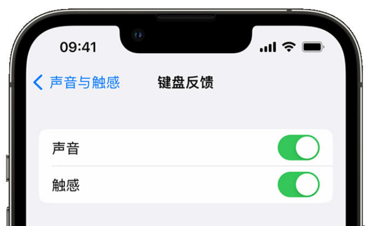 淇滨苹果手机维修分享iPhone 14触感键盘使用方法 