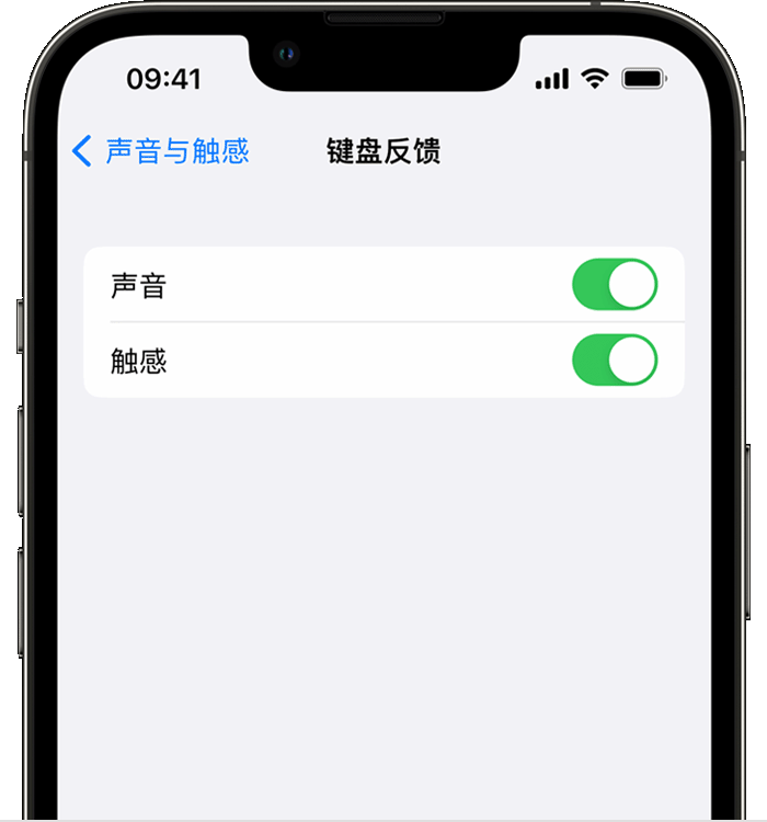 淇滨苹果14维修店分享如何在 iPhone 14 机型中使用触感键盘 