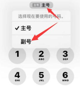 淇滨苹果14维修店分享iPhone 14 Pro Max使用副卡打电话的方法 