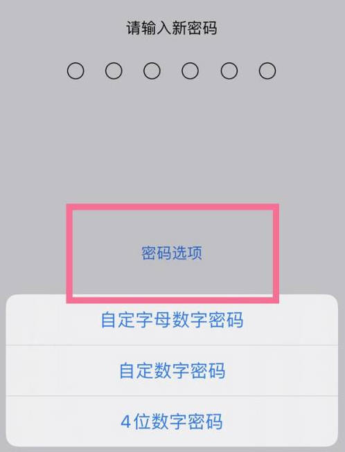 淇滨苹果14维修分享iPhone 14plus设置密码的方法 