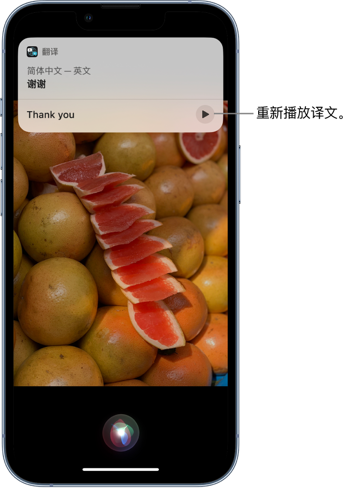 淇滨苹果14维修分享 iPhone 14 机型中使用 Siri：了解 Siri 能帮你做什么 