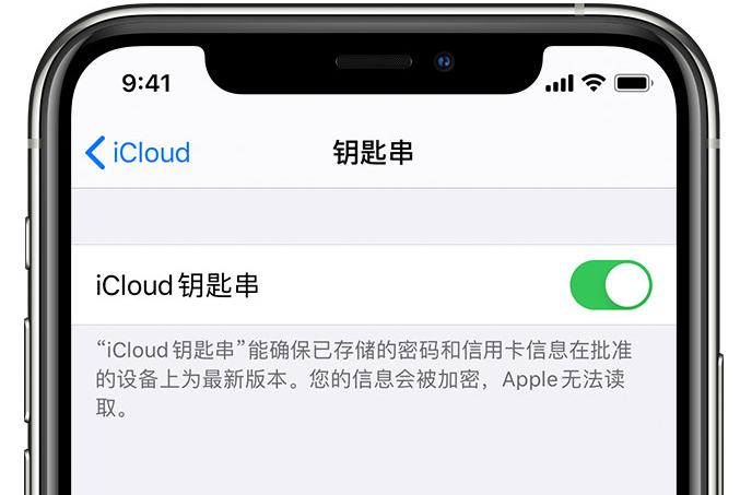 淇滨苹果手机维修分享在 iPhone 上开启 iCloud 钥匙串之后会储存哪些信息 